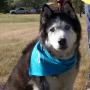 Brenda Larson Photo 30