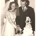 Judy Parker Photo 37