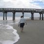 Amy Driscoll Photo 8