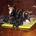 Flossie Foster Photo 3
