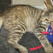 Carolyn Foster Photo 6