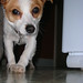 Larry Crouch Photo 20