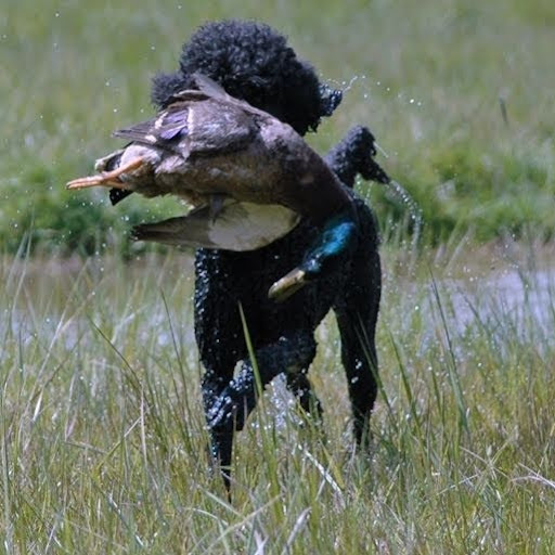Gail Wilson Photo 31