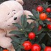 Ted Berry Photo 22
