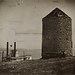 Roy Mills Photo 22
