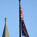 Jack Spires Photo 8