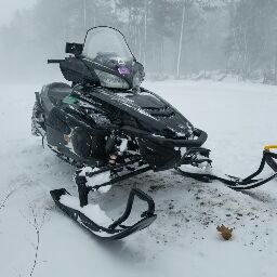 Todd Davidson Photo 37