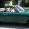 Susan Wertman Photo 10