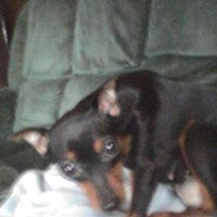 Sherry Starkey Photo 7