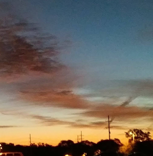 Angela Bigler Photo 5