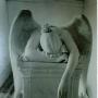 Lisa Waite Photo 32