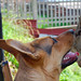 Kelly Tedesco Photo 10