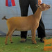 Connie Doe Photo 11