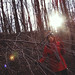 Bridget Wood Photo 5