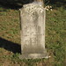 Phillip Sutton Photo 27