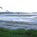 Rodney Snell Photo 8