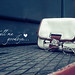 Jennie Truong Photo 23