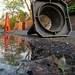 Mary Cone Photo 31