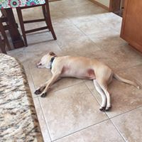 Ann Streeter Photo 22