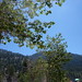 David Merz Photo 11