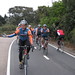 Bryan Schwab Photo 16