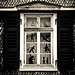 Tim Hanse Photo 7