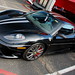 Matthew Ferrari Photo 7