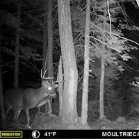 Glenn Perkins Photo 30