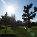 Ronnie Crisp Photo 10