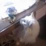 Veronica Clements Photo 23
