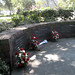 Donald Neill Photo 16