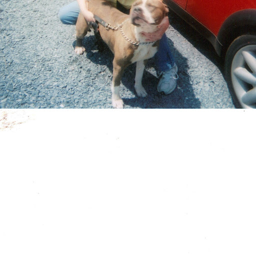 Susan Lasley Photo 4