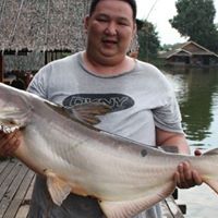 Stephen Lin Photo 25