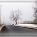 Misty Everhart Photo 9