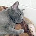 Dottie Gray Photo 31
