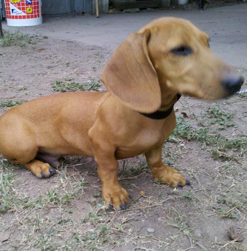 Mirtha Perez Photo 14
