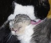 Timothy Taylor Photo 22