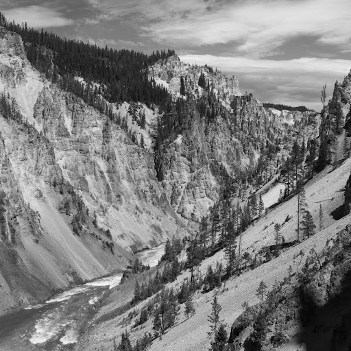 Terry Solomon Photo 22