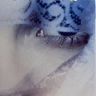 Robin Levine Photo 20