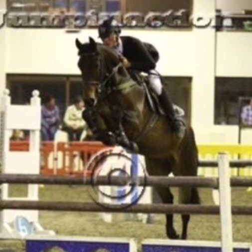 Michael Mannion Photo 11