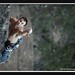 David O'Donnell Photo 17