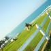 Andrea Lucero Photo 7