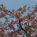 April Baum Photo 15