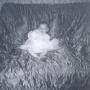 Mary Mcallister Photo 8