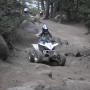 Brian Macdonald Photo 36