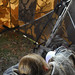 Annie Hunt Photo 40