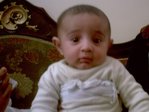 Mohamad Sameh Photo 2