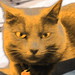 Rudy Stephens Photo 12
