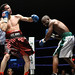 Darrell Martin Photo 16
