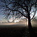 Vicky Winters Photo 11